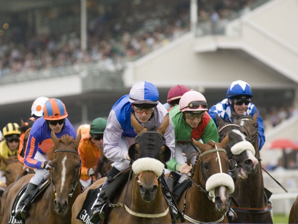 The Galway Races