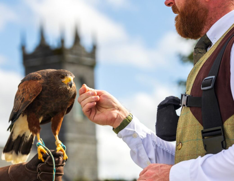 Falconry www.glenloabbeyhotel.ie