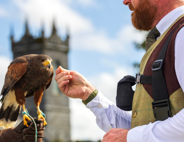 Falconry www.glenloabbeyhotel.ie