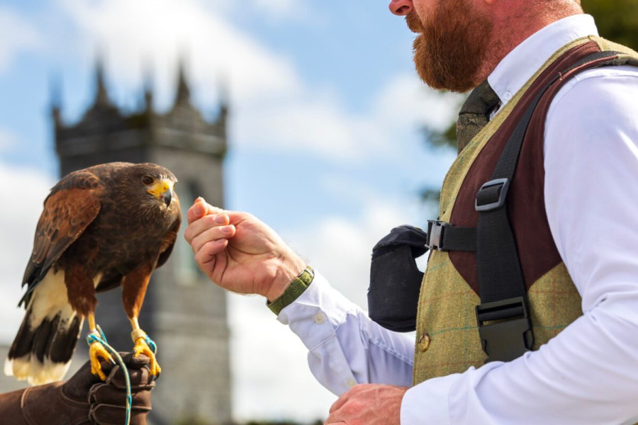 Falconry www.glenloabbeyhotel.ie