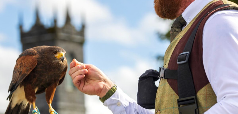 Falconry www.glenloabbeyhotel.ie